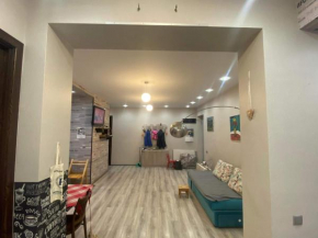 lovely apartment in vazha pshavela avenue